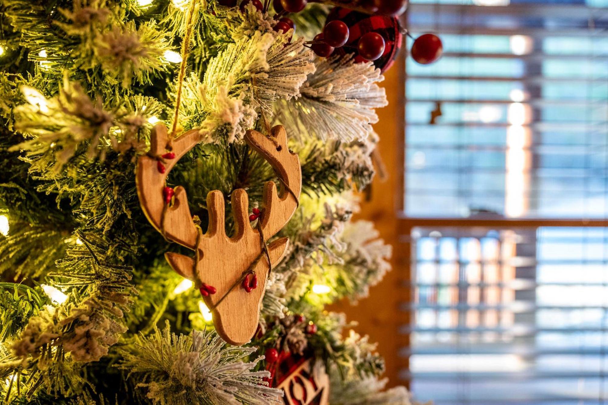 Mountain Laurel Holiday Home ガトリンバーグ エクステリア 写真