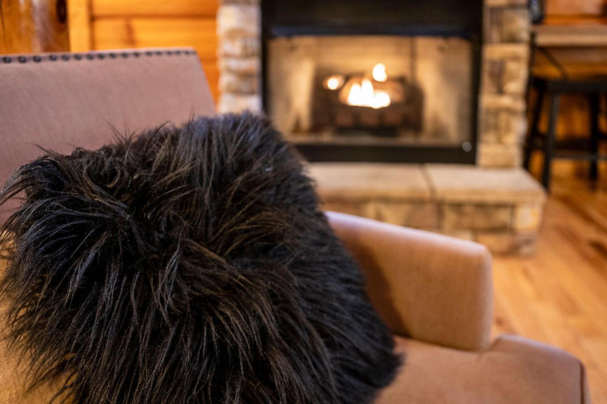Mountain Laurel Holiday Home ガトリンバーグ エクステリア 写真